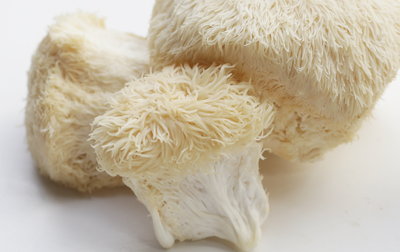 Lion's Mane Mushroom Gummies: Benefits for Brain Health and Focus