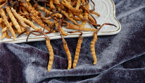 The Role of Cordyceps Mushroom Gummies in Energy and Endurance