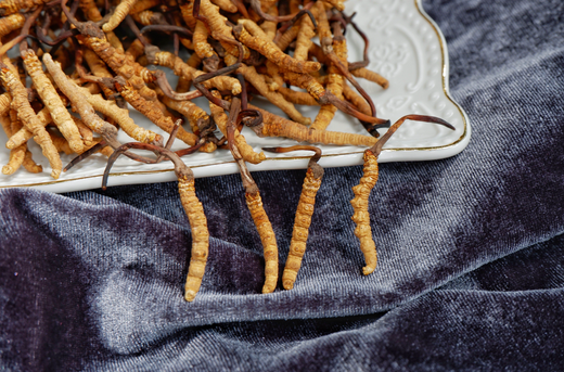 The Role of Cordyceps Mushroom Gummies in Energy and Endurance