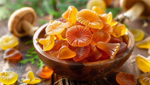 What Are The Health Benefits of Mushroom Gummies?