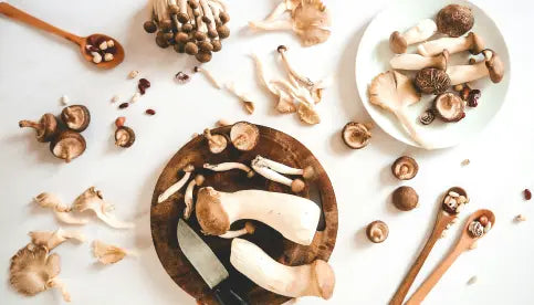 Where To Buy High-Quality Mushroom Gummies In Texas 2024 (Updated)