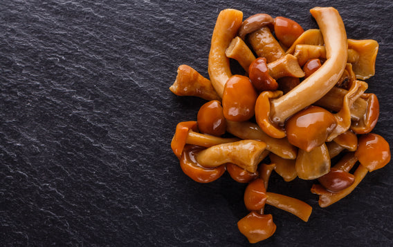 Exploring the Role of THCP, THCV, and THCA in Mushroom and CBD Edibles