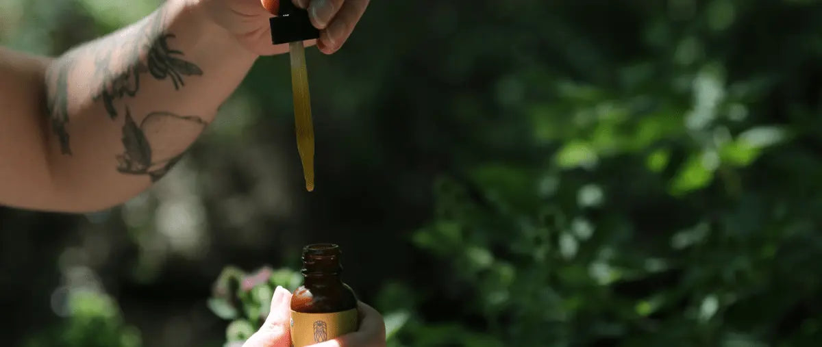 Close-up image of a person's hand using a dropper to dispense HempLucid CBD oil from a bottle, with tattoos visible and a lush green background, emphasizing natural wellness.