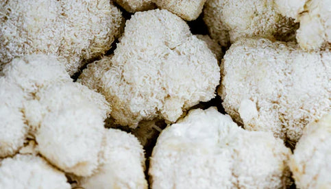 Best Time of Day to Take Lion's Mane: Morning, Afternoon, or Night? [Guide for 2024]