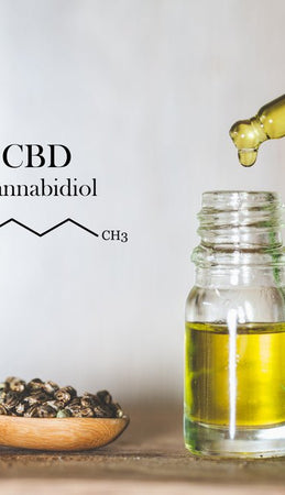 CBD Tincture vs. Oil: What’s the Difference?