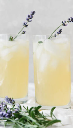 Summer CBD Lavender Lemonade
