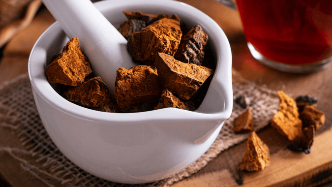 Chaga: Everything You Need to Know About This Functional Mushroom
