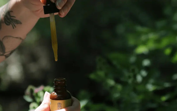 Hemplucid Premium CBD Oil for Pain Relief & Inflammation