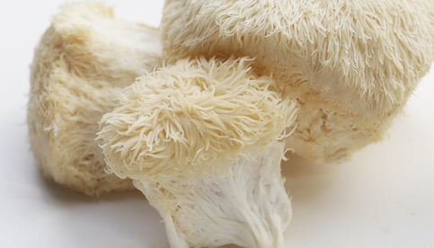 Lion's Mane Mushroom Gummies: Benefits for Brain Health and Focus