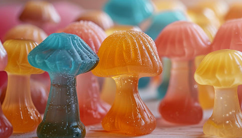 Mushroom Gummies vs Delta 8: What's The Difference? (2024)
