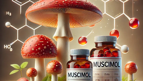 What Is Muscimol, and How Is It Used in Mushroom Supplements?