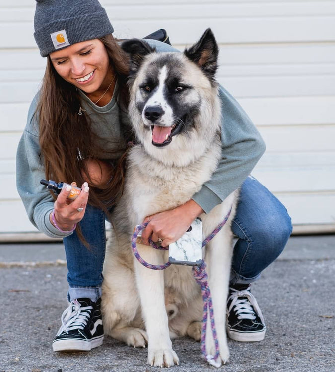 Dog next to woman holding CBD for pets tincture