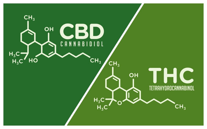 CBD and THC molecule graphic