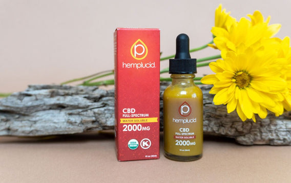 Hemplucid USDA Organic Full-Spectrum CBD Water Soluble 2000