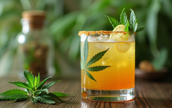 How to Make THC Drinks: 5 Easy Steps for Delicious Results [2024 Guide]