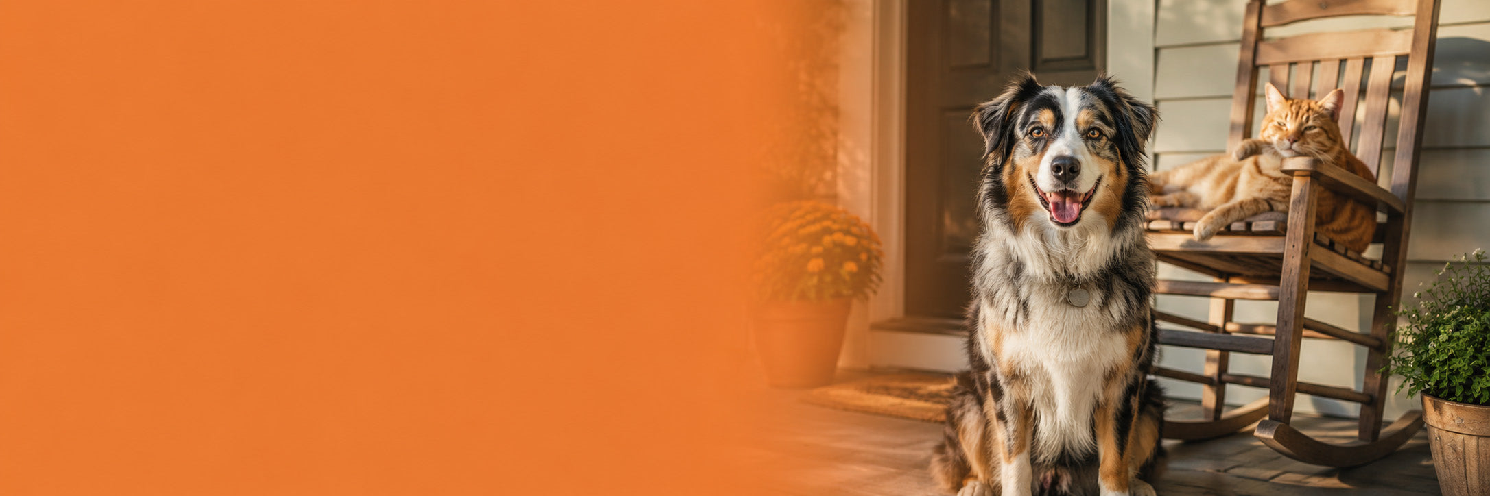 How Much CBD Should I Give My Dog? A Complete Dosing Guide