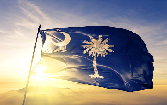 South Carolina flag in sunshine