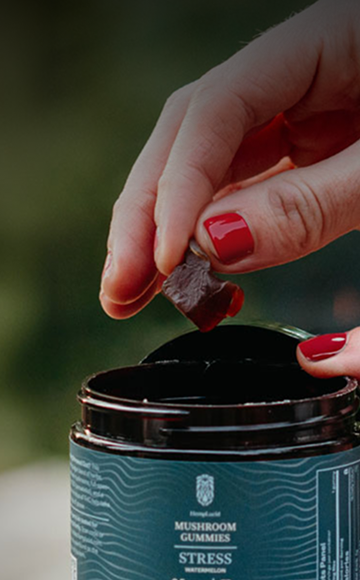 Premium mushroom gummies