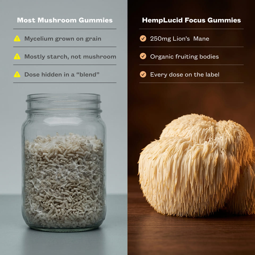 A visual side-by-side comparison, the left side shows mycelium growing in a mason jar of rice, and text reads "Most mushroom gummies: Mycelium grown on grain, mostly starch, not mushroom. Dose hidden in a blend." The right side shows a luscious lion's mane mushroom on a wood surface, the text reads, "HempLucid Focus Gummies: 250mg Lion's Mane organic fruiting bodies, every dose on the label."