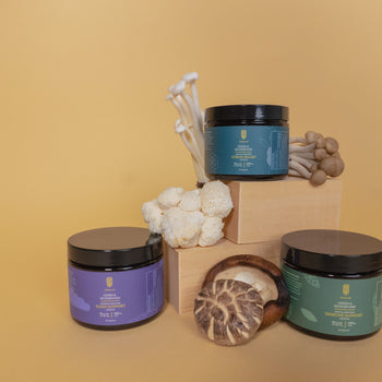 Sleep, Immune, Stress Stacks Studio (PNG,JPG)