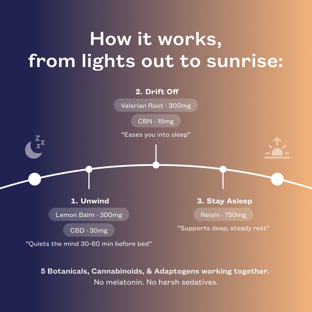 Three-stage timeline: unwind with lemon balm and CBD, drift off with valerian root and CBN, stay asleep with reishi.
