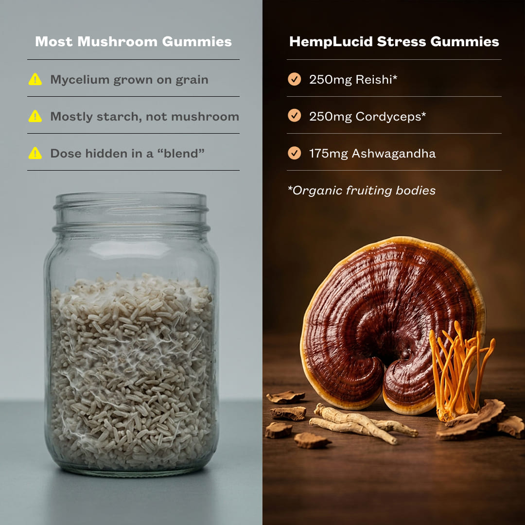 An infographic with a drab photo of mycelium growing around rice in a clear glass jar with text overlaid that reads, "Most Mushroom Gummies Myselium grown on grain mostly startch, not mushroom dose hidden in a blend." Next to a second image of a beutiful still life of a reishi mushroom, cordyceps mushroom, and ashwagandha root, with text overliad that reads, "HempLucid Stress Gummies 250mg Reishi* 250mg Cordyceps* 175mg Ashwagandha *Organic fruiting bodies."