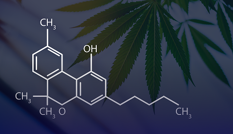 The “Aged” Cannabinoid: *How CBN Forms