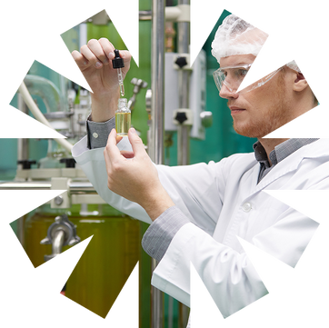 You Deserve the Best: CBD Softgel Capsules
