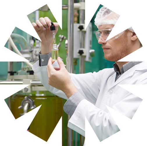 How to Read a Certificate of Analysis