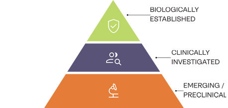 How to Read the Evidence: A Hierarchy