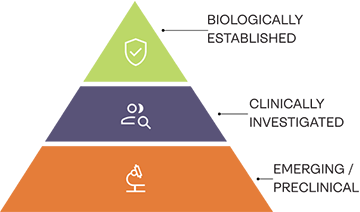 How to Read the Evidence: A Hierarchy