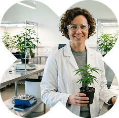 What is CBD Cream?